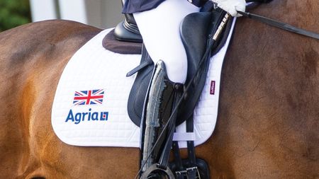 Close-up of a Union flag on a British team saddle cloth
