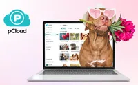 pCloud Stockage &agrave; vie