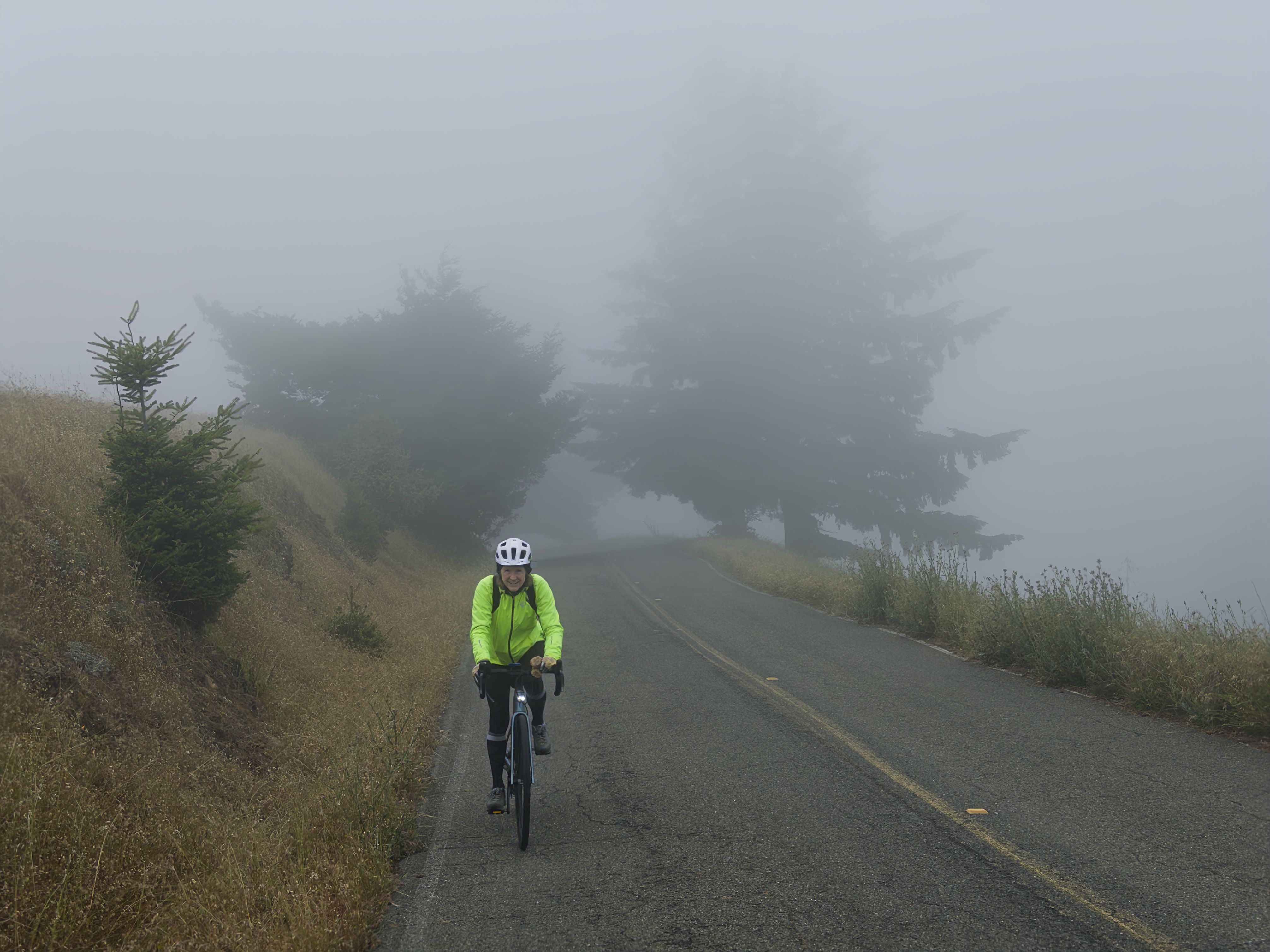 Cyclist in a fluorescent jacket rides along a winding road surrounded by dense fog and trees.
