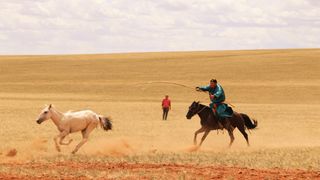 A man in a blue robe herds horses on the Inner Mongolian grassy plain.