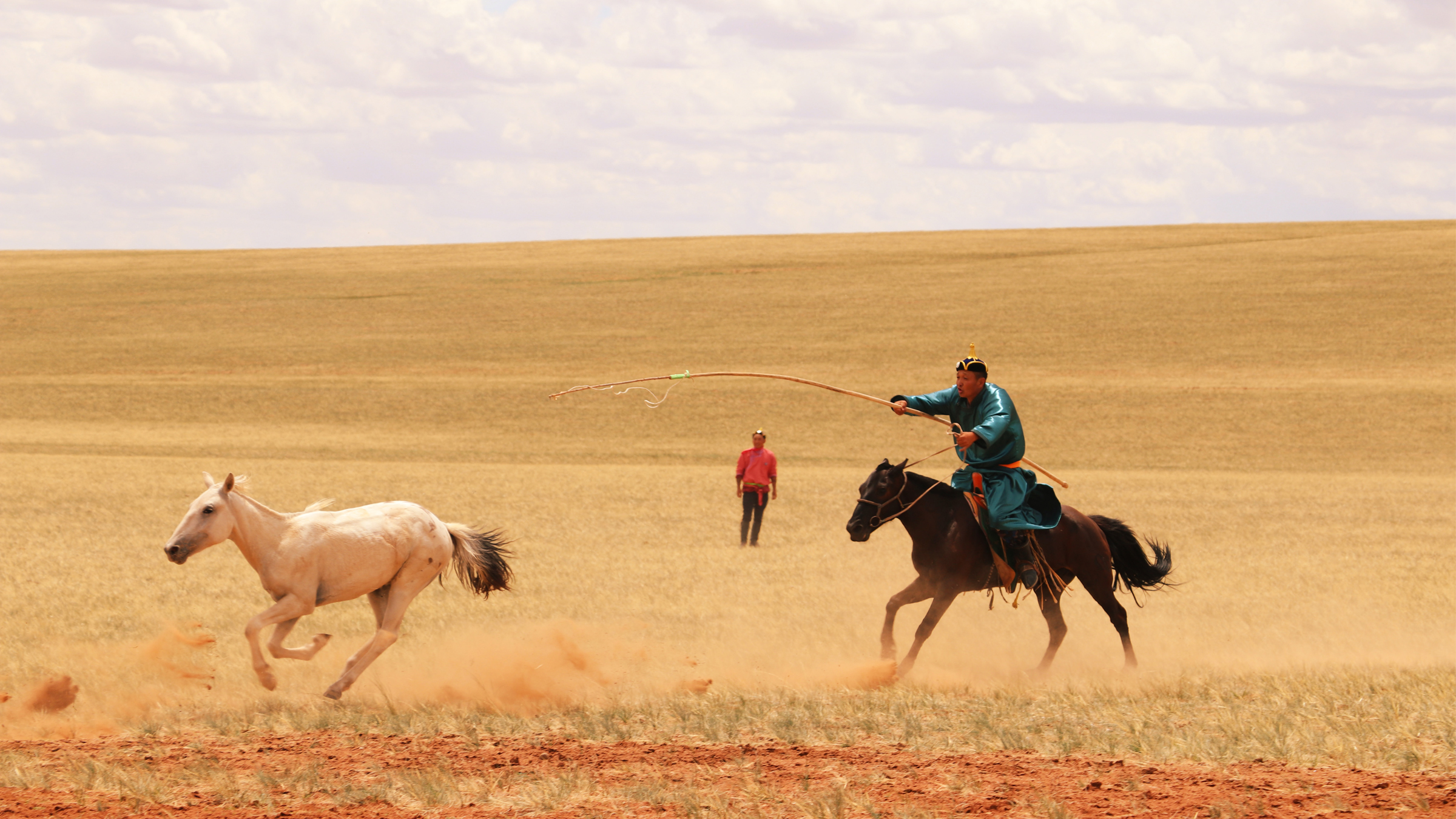 Humans didn't domesticate horses until 4,200 years ago — a millennium later than thought