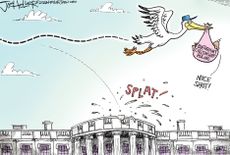 Political Cartoon