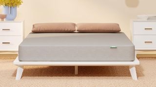 The Siena Essential Memory Foam on a bed frame in a bedroom