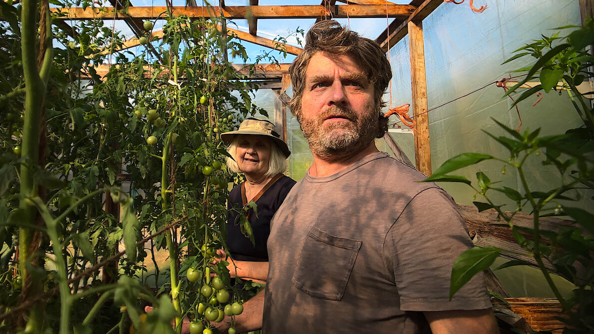 Zach Galifianakis photo.