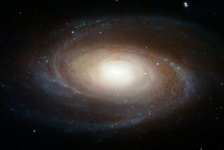 Hubble Space Telescope image of Messier 81, known as Bode's Galaxy. Shows a large spiral galaxy with a bright galactic centre.
