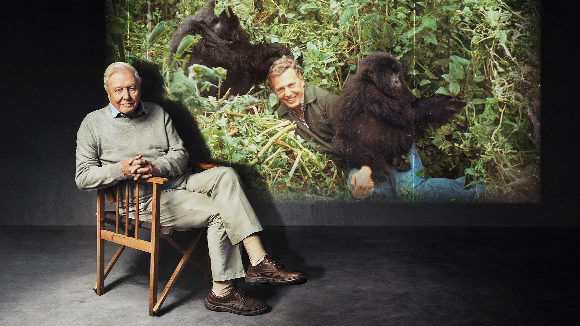 A photo of David Attenborough