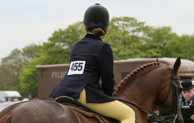 show-hunter-pony3.jpeg