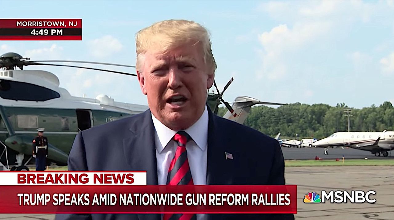 Trump talks about gun laws