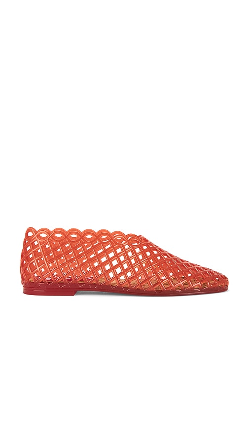 Zapato Plano Grove