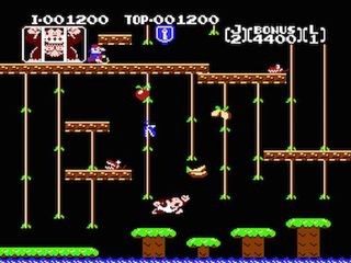 Donkey Kong Jr. (No. 21)