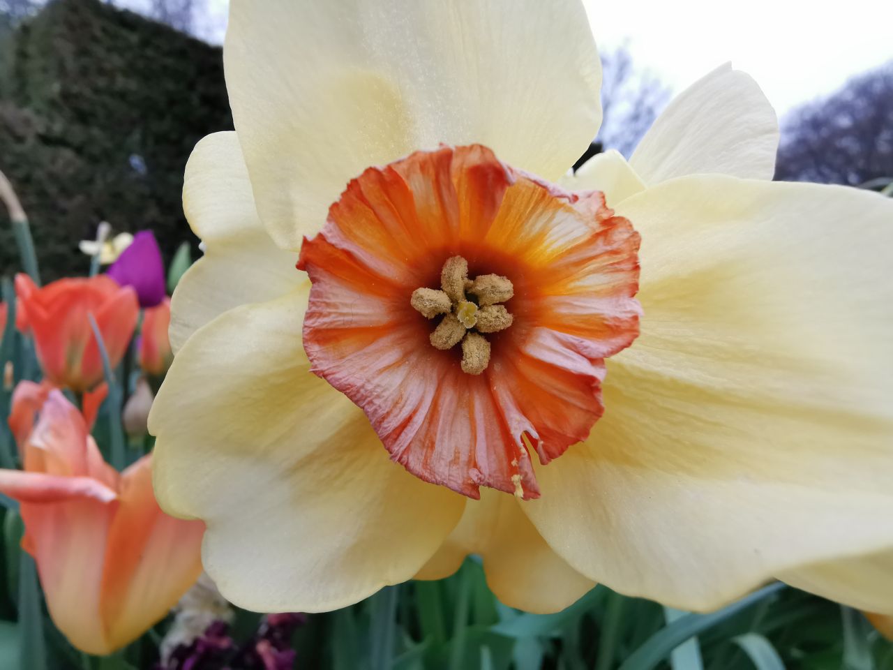 Macro mode allows you to shoot objects very close up, and with top detail.