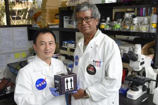 Fungi to Develop Space Meds