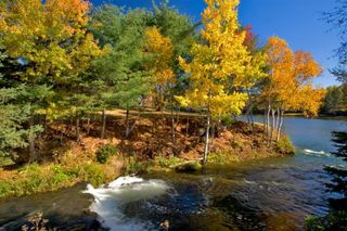 fall-foliage-pei-river-yellow-trees