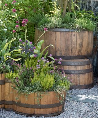 large oak barrel planters filled with plants and small trees