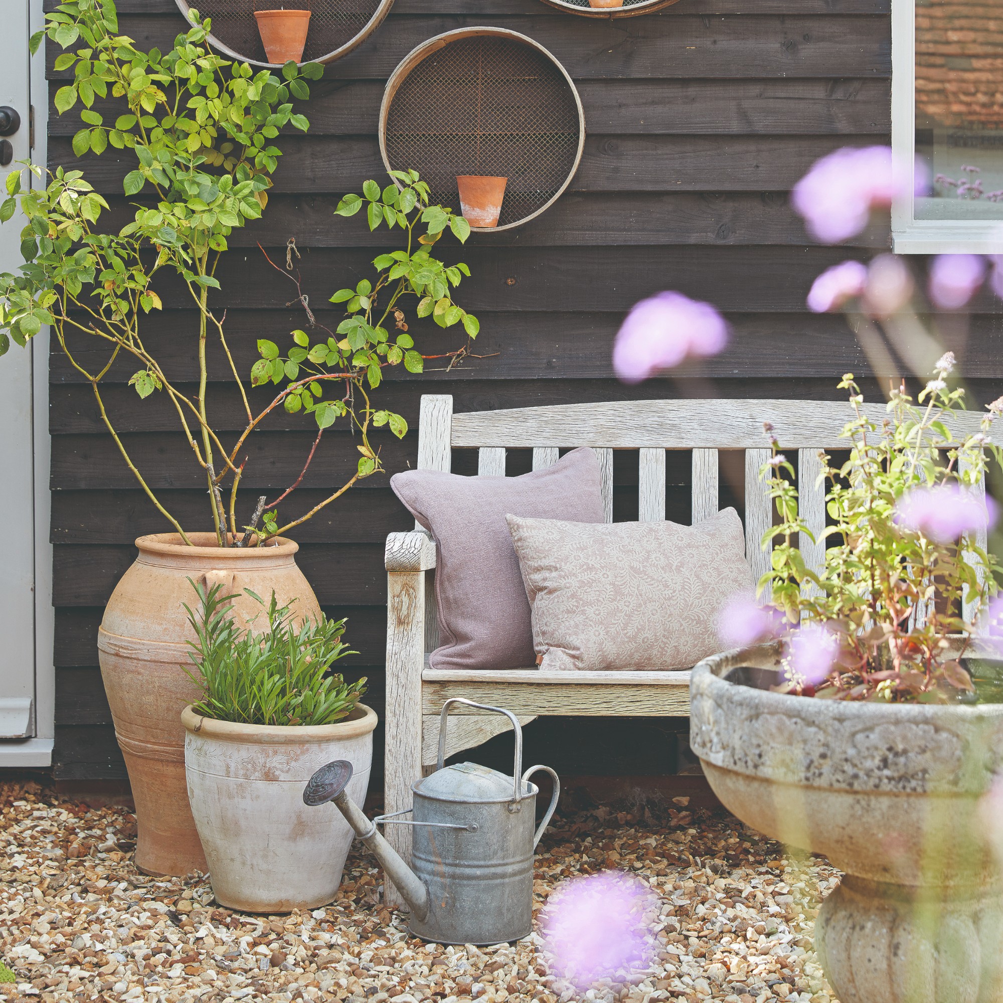 A wooden garden bench in a gravel garden outside a cottage with terracotta plant pots next to it