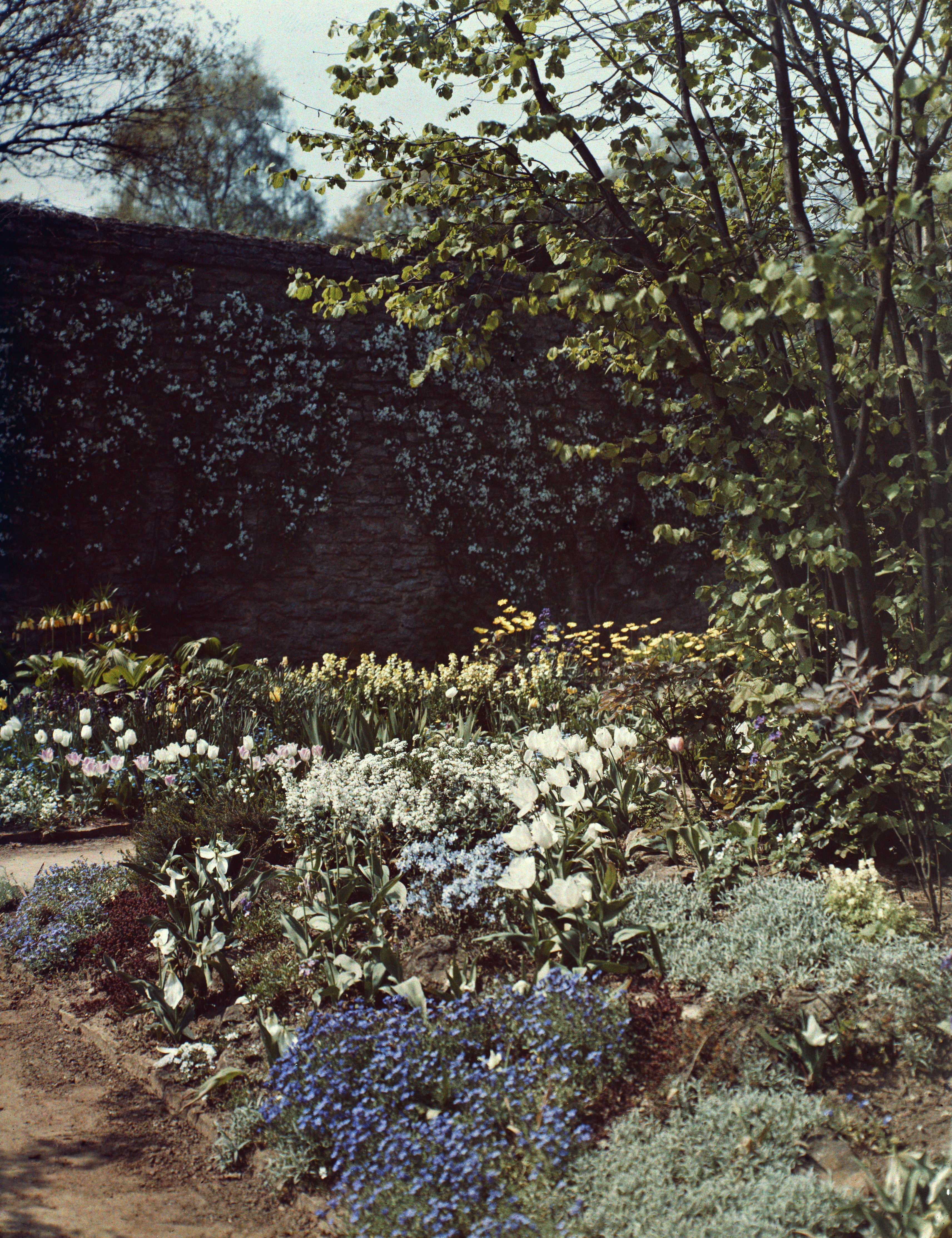 Munstead Wood garden