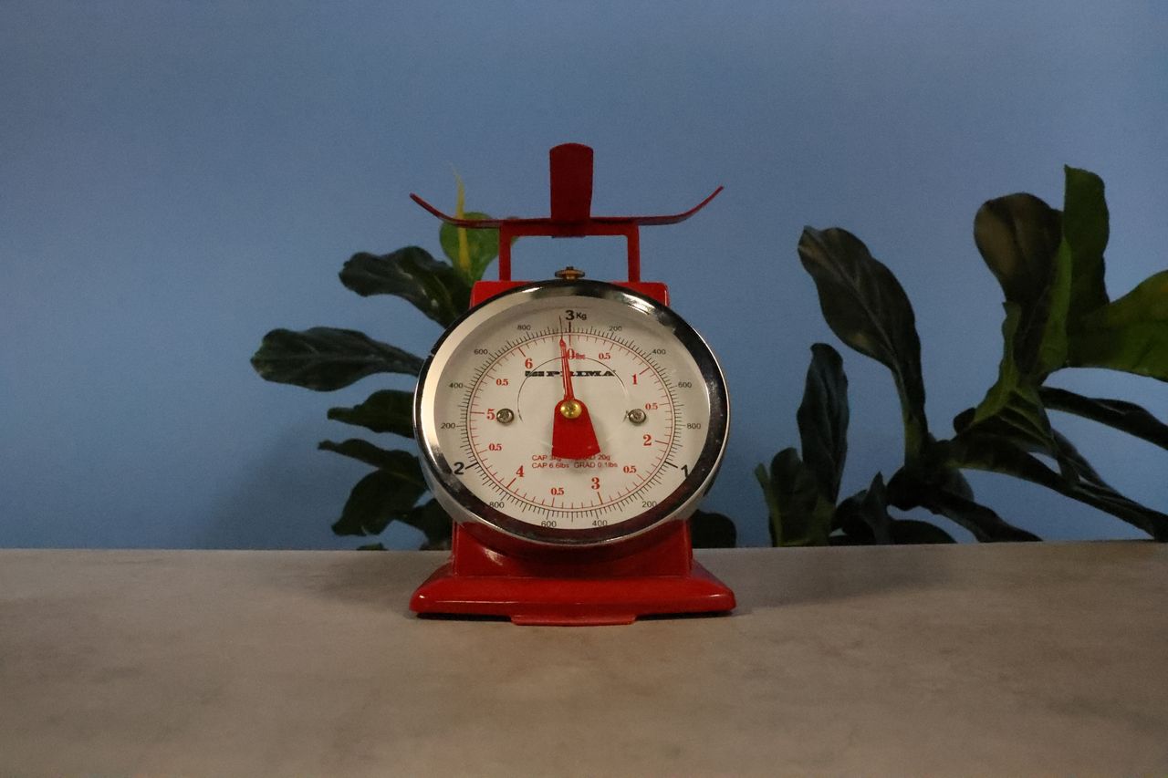 A photo of scales taken on a Canon EOS R6 Mark III