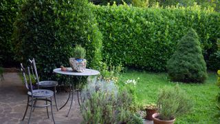 garden with metal outdoor table and hedge