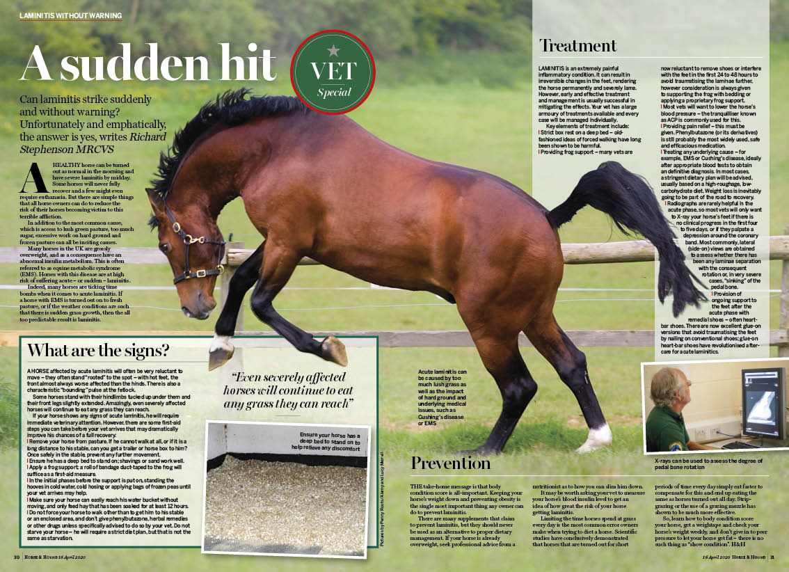 2pp VET SPECIAL acute laminitis V1