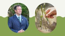 Composite of Monty Don and person holding plant cuttings 