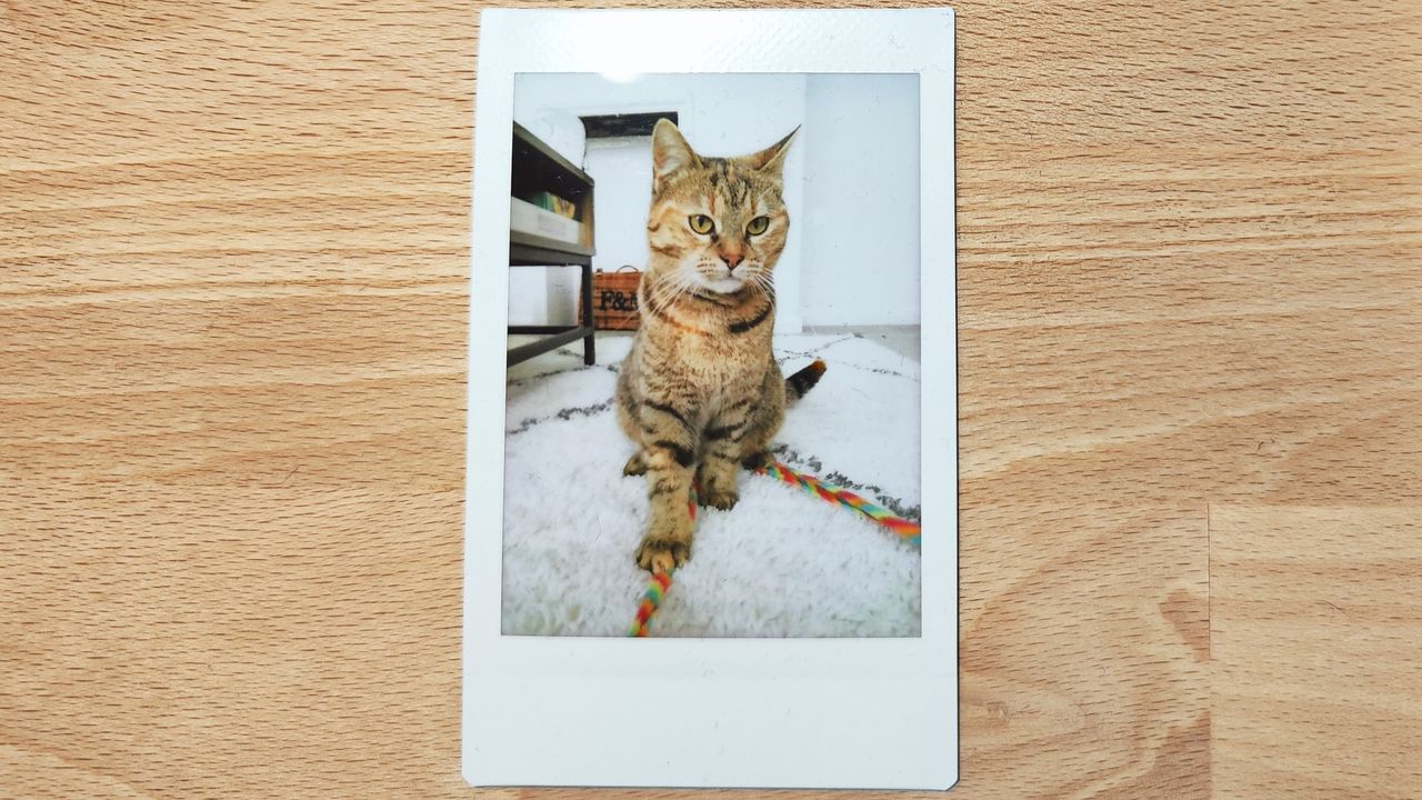 Instant photos on a wooden table