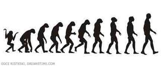 Evolution - News and Scientific Articles on Live Science