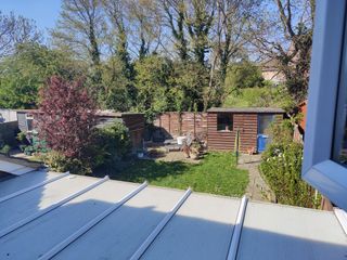 1x zoom on the OnePlus 8 Pro