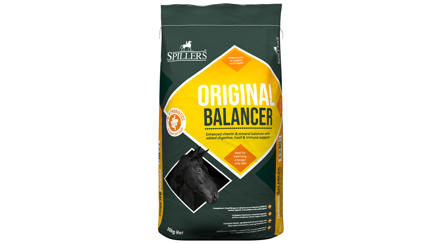 Spillers Original Multi Balancer