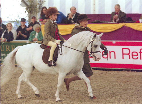rowfantina.jpg