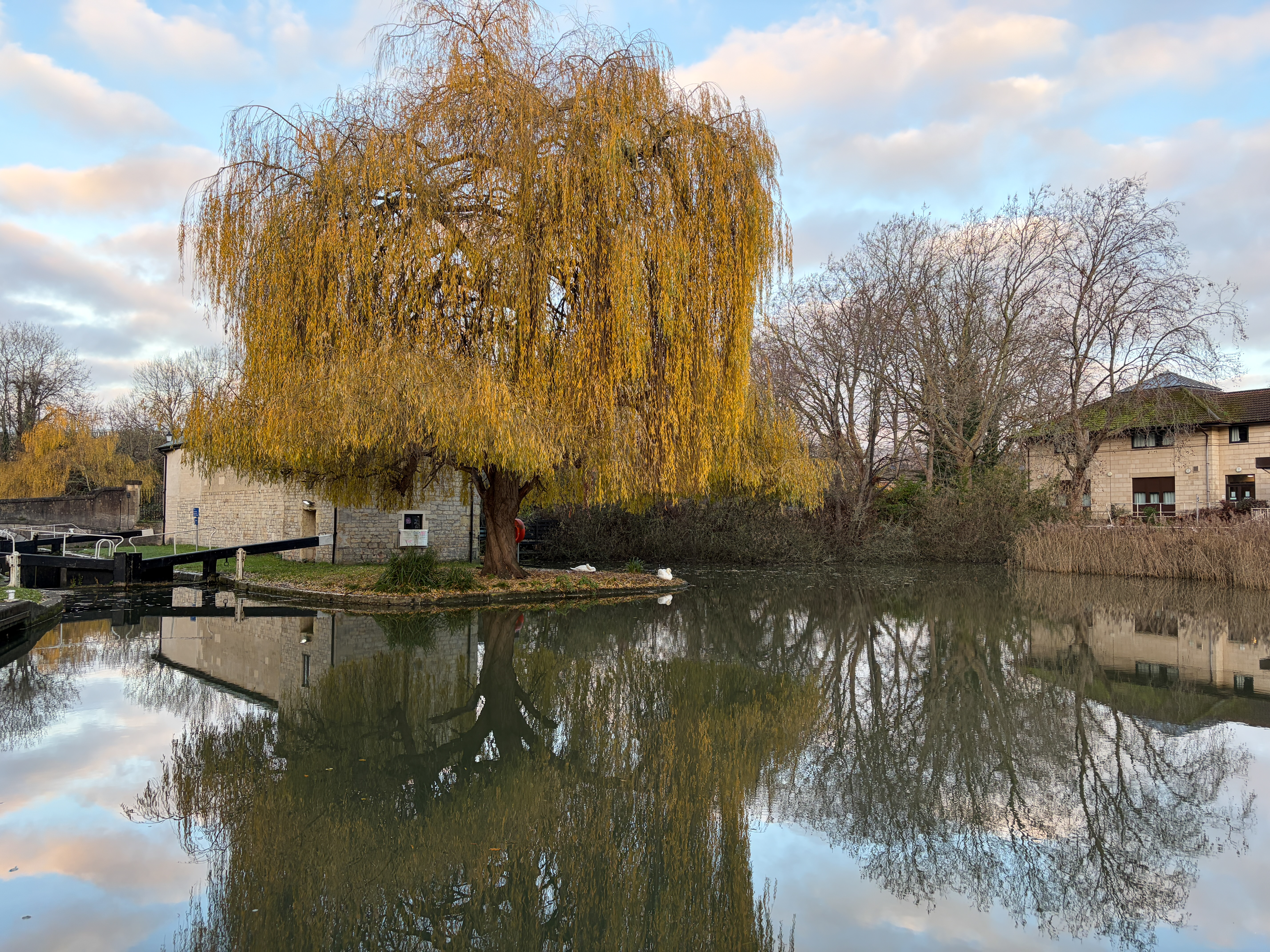 Apple iPhone 17 test shot