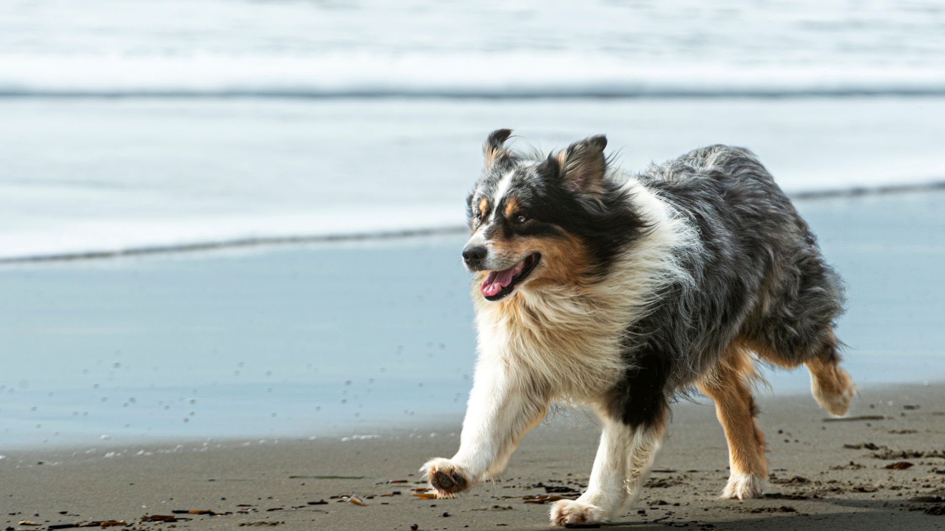 Kiva Beach, California