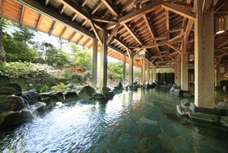 Sendai Akiu Spa, Hotel Iwanumaya