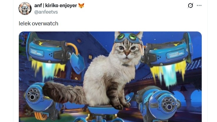 Cat on a jetpack powered vehicle