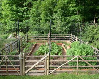 A garden fence encasing a vegetable garden in a large New York backyard