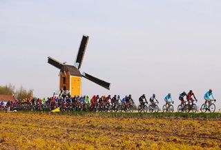 The peloton races past a windmill during the 50th edition of the Amstel Gold Race