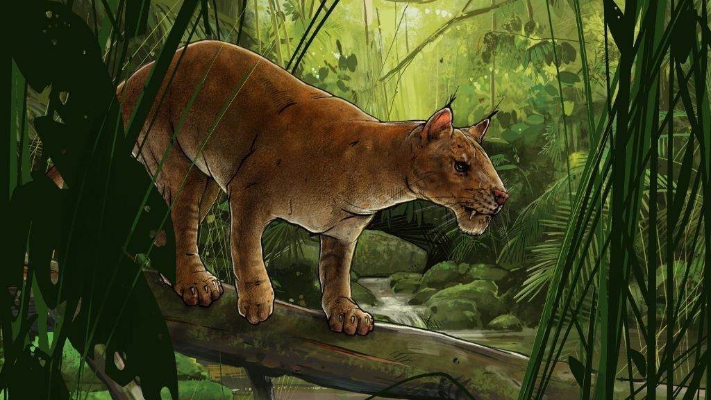 illustration of a saber-toothed, cat-like predator in a rainforest