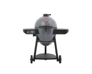 Best grill 11 of the best pellet gas and charcoal options