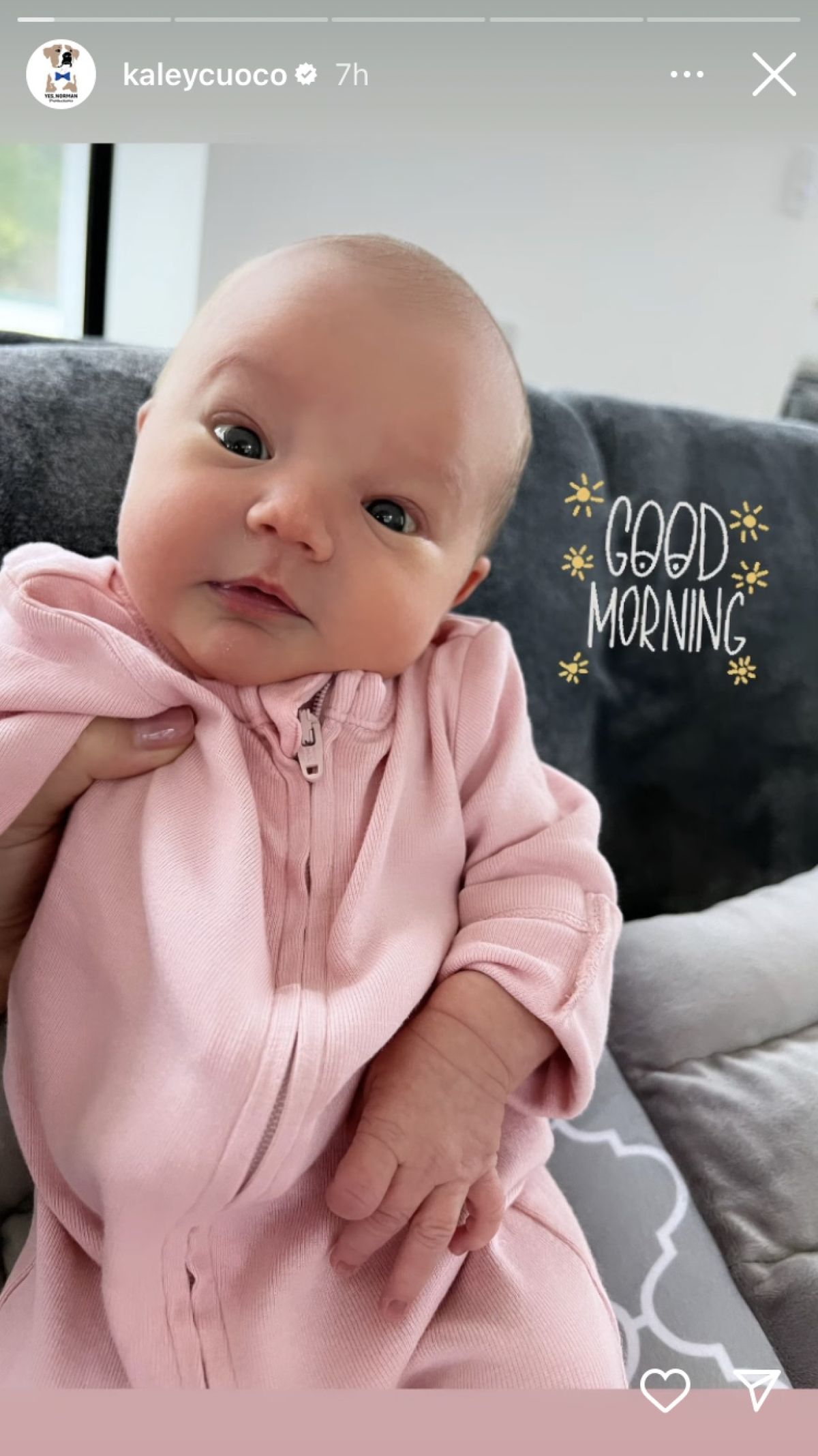 After Birth Of Kaley Cuoco’s First Baby, The Flight Attendant's Rosie