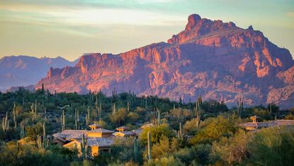 The desert of Scottsdale, Arizona