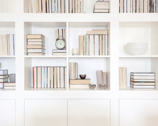 White bookshelves with books