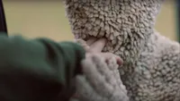   Channel Zero