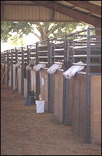 45492333-99E9-4227-8921-144430AAD7CB.jpg