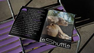 LeShuttle new identity