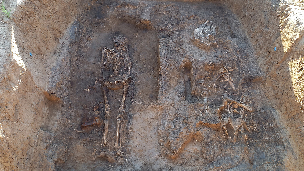 Archaeologists unearth a medieval nobleman buried with his horse and dog in a rare wooden tomb in Russia