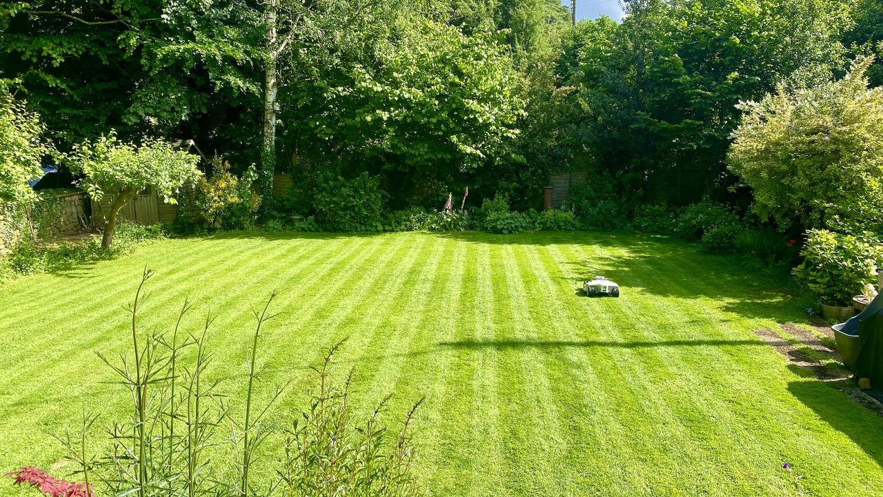 Mammotion LUBA 2 AWD lawn stripes