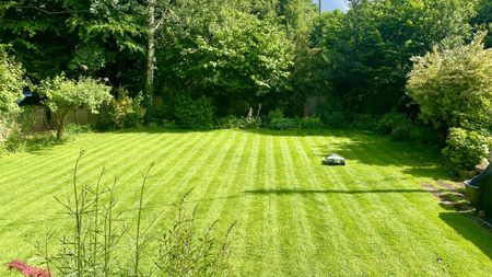 Mammotion LUBA 2 AWD lawn stripes