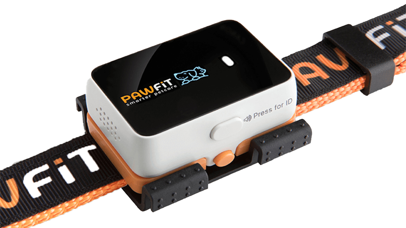 Pawfit 3