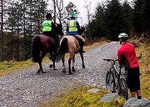 MTB-video.jpg