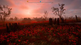 Sunset over a huge poppy field.