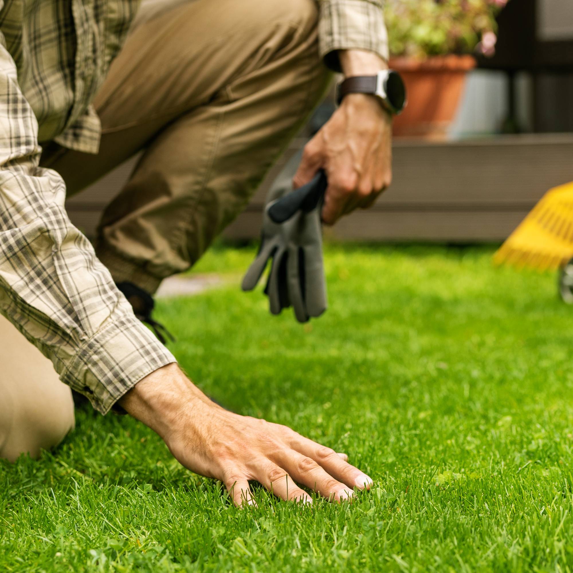 A man's hand touches a green lawn
